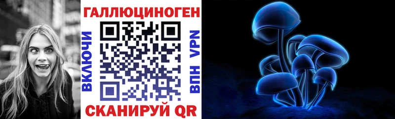 Псилоцибиновые грибы Cubensis  Котовск 